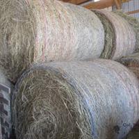 img_7624-web.jpg
