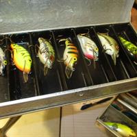 img_5879-web.jpg