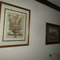 IMG_6774-web.jpg