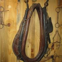 img_5782-web.jpg