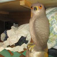 img_1274-web.jpg