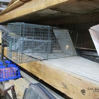 img_4455-web.jpg