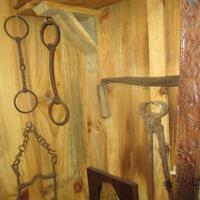 img_5784-web.jpg