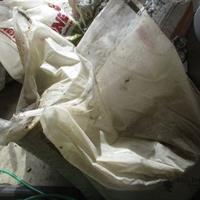 img_5312-web.jpg