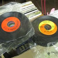 img_5229-web.jpg
