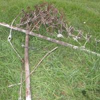 img_6660-web.jpg