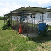 img_1395-web.jpg