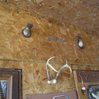 img_4797-web.jpg