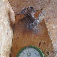 img_4798-web.jpg