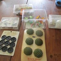 img_7522-web.jpg