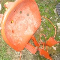 img_6815-web.jpg