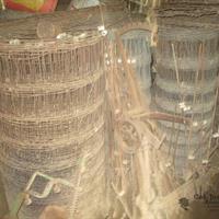 img_6795-web.jpg