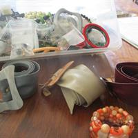 img_7528-web.jpg