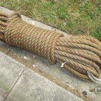img_5313-web.jpg