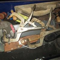 img_6608-web.jpg