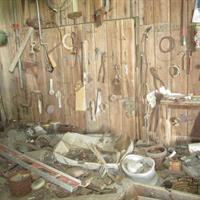 img_6647-web.jpg