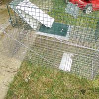img_5321-web.jpg