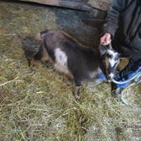 img_4299-web.jpg