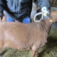 img_4300-web.jpg