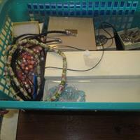 img_6760-web.jpg