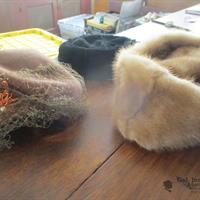 img_7551-web.jpg