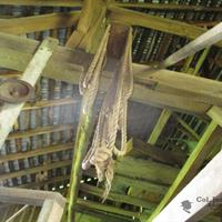img_6652-web.jpg