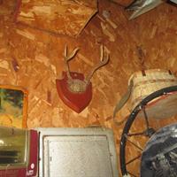 img_4840-web.jpg