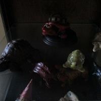 img_4504-web.jpg