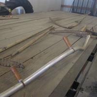 img_4231-web.jpg