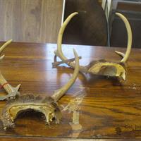 img_5330-web.jpg