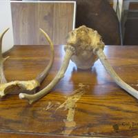 img_5331-web.jpg