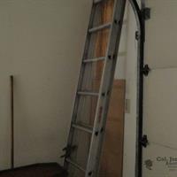IMG_6799-web.jpg