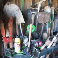 img_4866-web.jpg