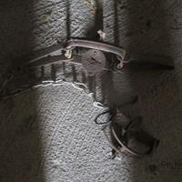 img_0720-web.jpg