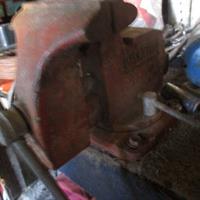 img_4869-web.jpg