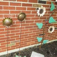 img_6307-web.jpg