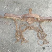 img_6823-web.jpg