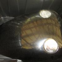 IMG_1662-web.jpg