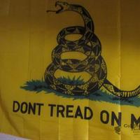 img_5340-web.jpg