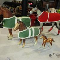 img_5816-web.jpg