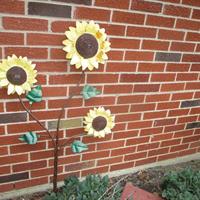img_6317-web.jpg