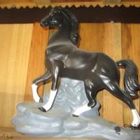 img_5817-web.jpg