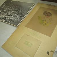 IMG_1488-web.jpg