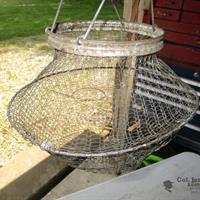 img_5997-web.jpg