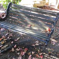 IMG_6813-web.jpg
