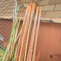 img_6001-web.jpg