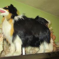 img_4707-web.jpg