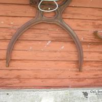 img_6006-web.jpg