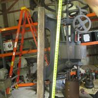 IMG_1683-web.jpg