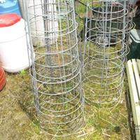 img_6012-web.jpg